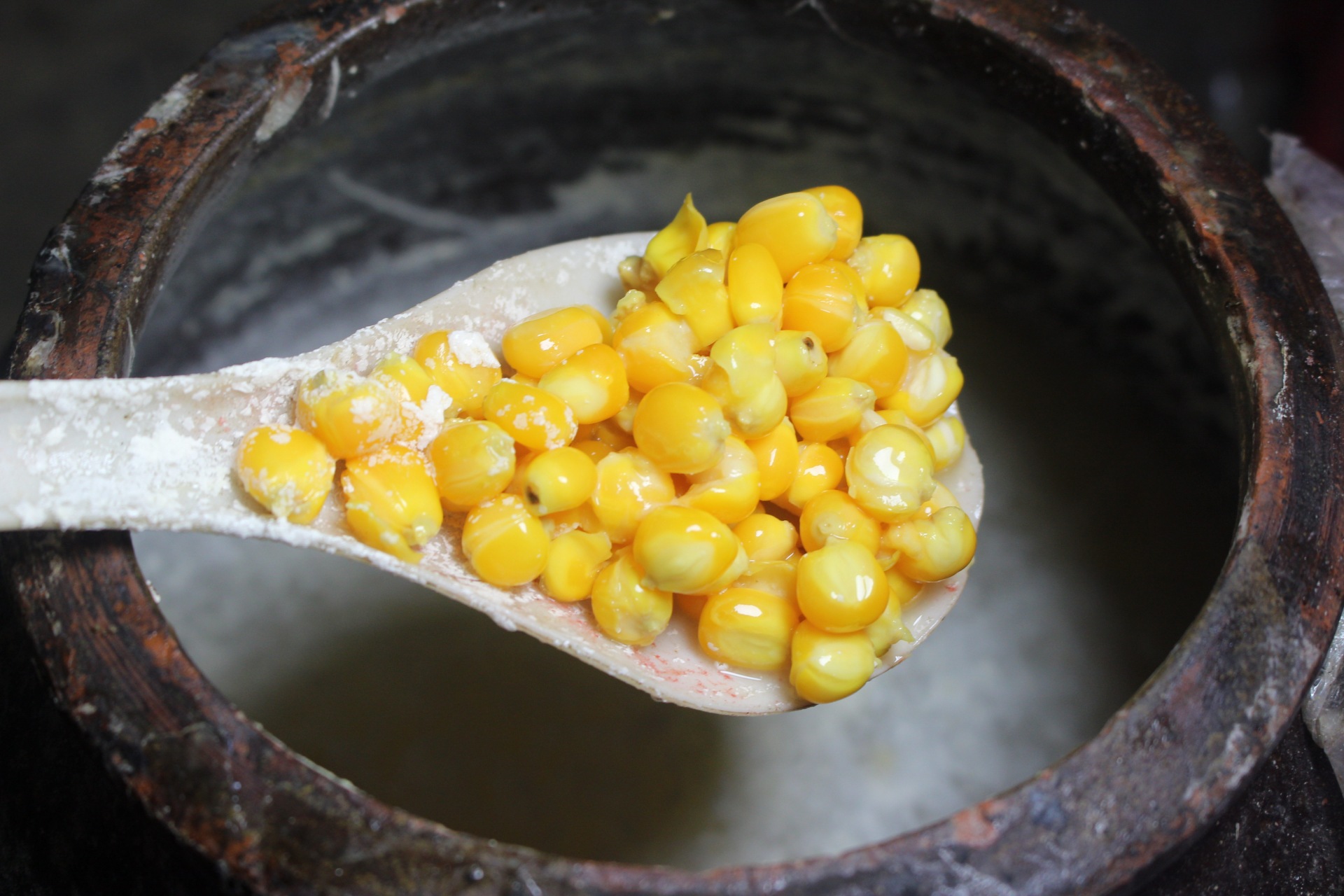 用老坛玉米做钓饵,老坛玉米饵使用视频