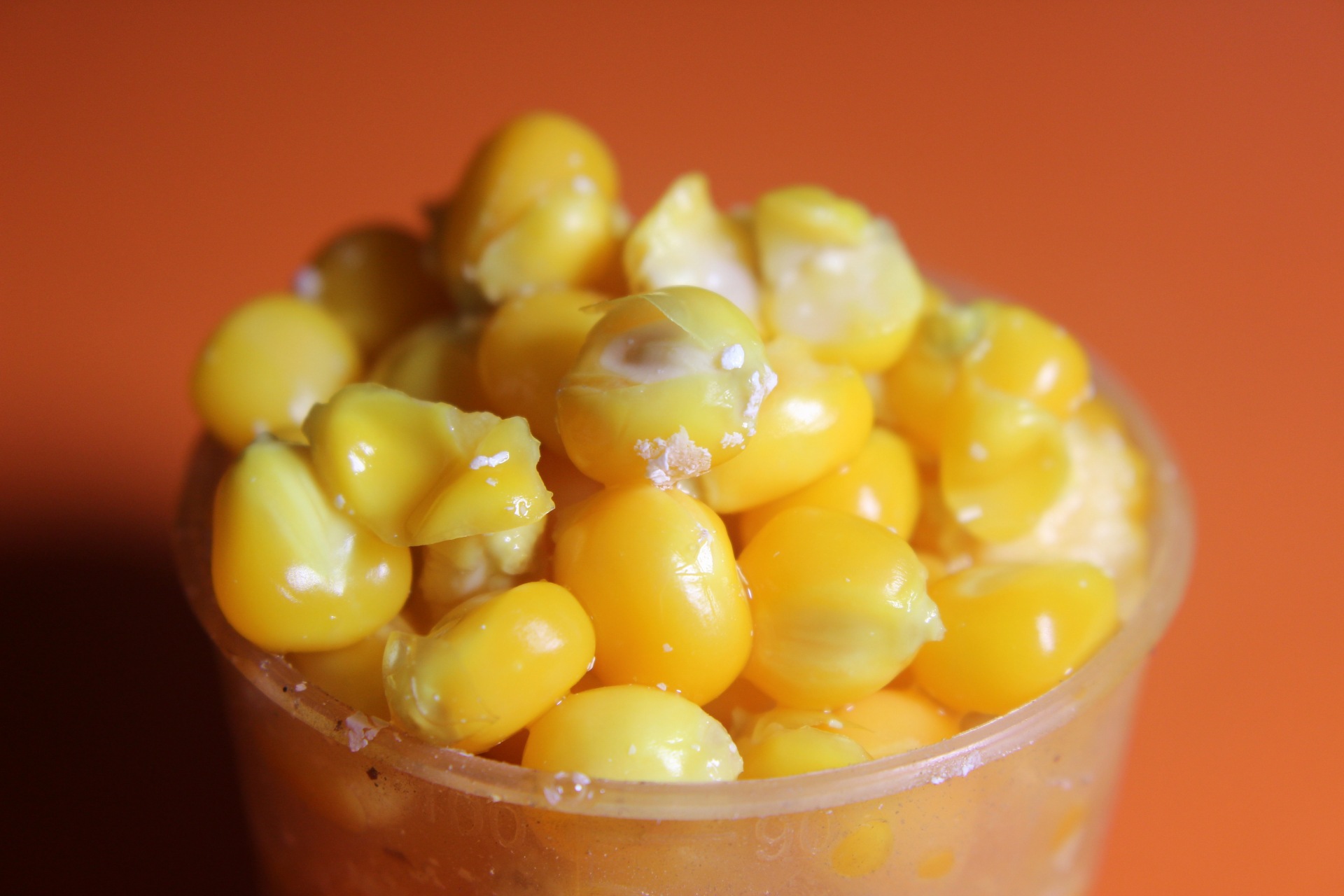 用老坛玉米做钓饵,老坛玉米饵使用视频