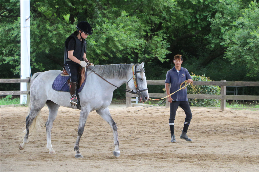 品山水美景房子,品农家菜
