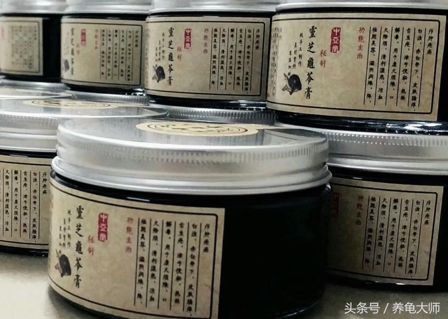 石金钱龟为什么崩盘,龟价低迷怎么办