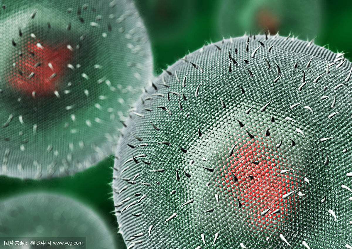 嘴唇红肿起泡怎么回事,嘴唇起泡最快消除方法