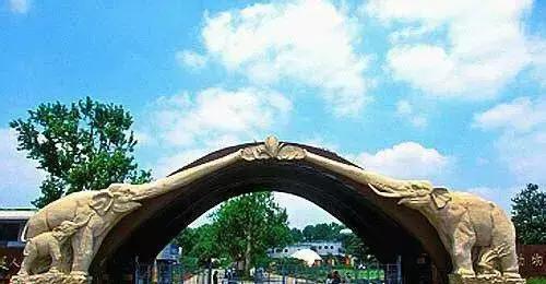 上海坐地铁直达的玩的地方,上海地铁直达花海