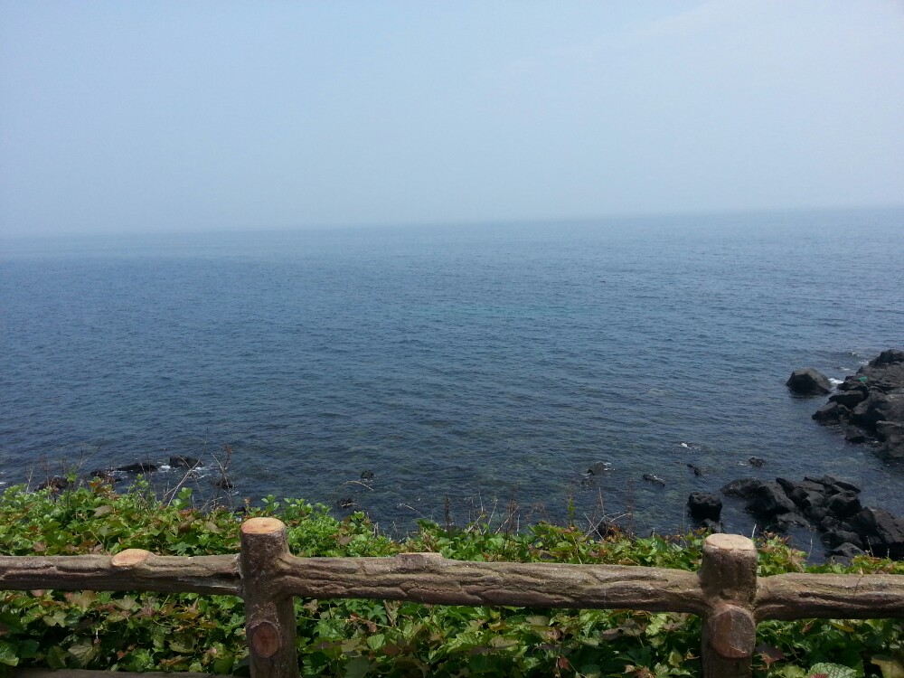 出国办驾照违法吗,出国前办理国际驾照靠谱吗