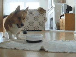 在泉州有什么工作工资比较高的,泉州市什么工作工资最高