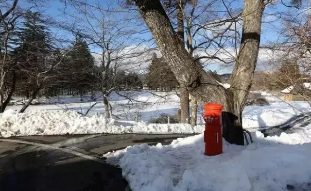 最全旅行干货,日本的干货