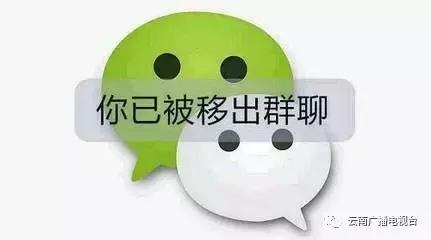 群聊多少人违规对群主判刑,群成员违法群主要担责是谁提出的