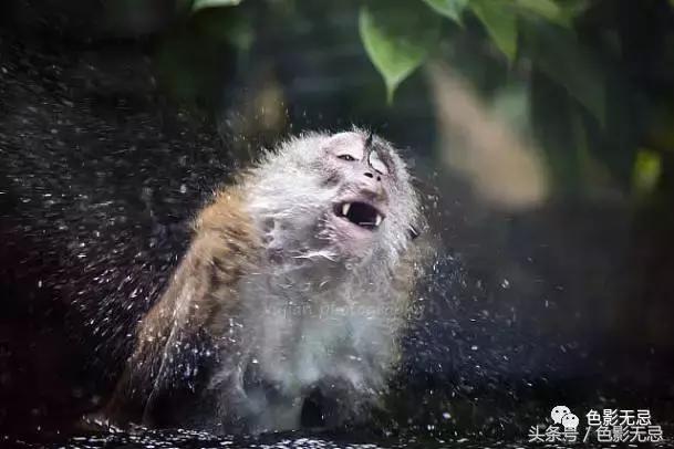 佳能l级非红圈镜头,佳能半画幅相机红圈镜头推荐