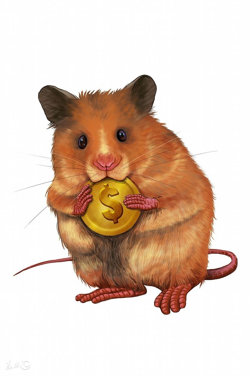 十二属相运势及注意事项,十二属相最新每日运势详解