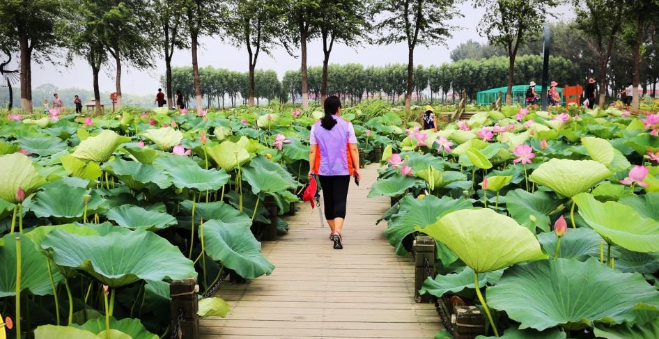 铁岭市铁岭县穷吗,铁岭穷吗