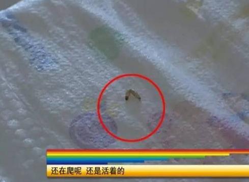 给宝宝用的尿不湿,宝宝用的尿不湿起红疹了怎么办