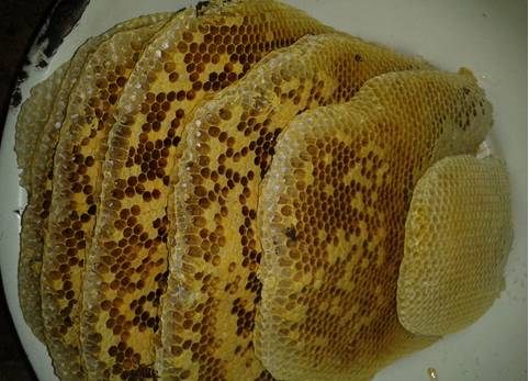 什么样的蜂蜜才属于好蜂蜜,怎样判断蜂蜜是假蜂蜜还是真蜂蜜