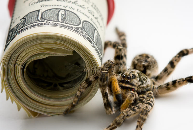 鍗板害璐㈡斂璧ゅ瓧,鍗板害璐告槗璧ゅ瓧