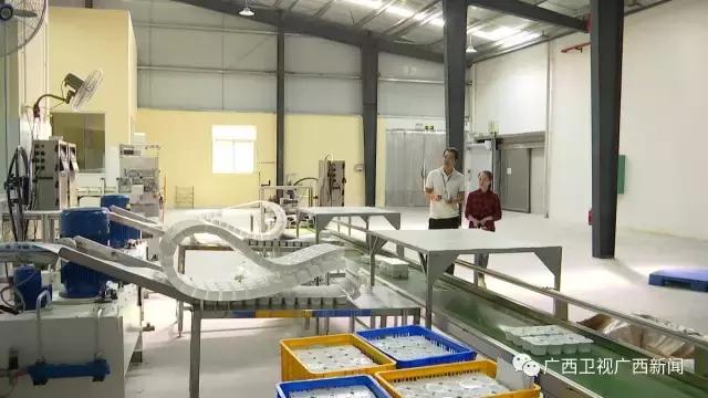 广西持续对外开放的意义,新时代广西如何提高对外开放水平