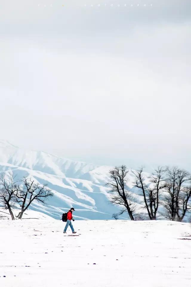 回顾:旧梦之域,新辟之疆‖这是一个让我魂萦梦绕的地方
