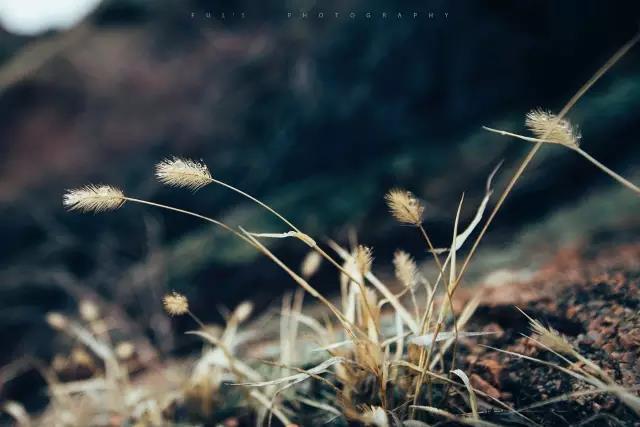 回顾:旧梦之域,新辟之疆‖这是一个让我魂萦梦绕的地方