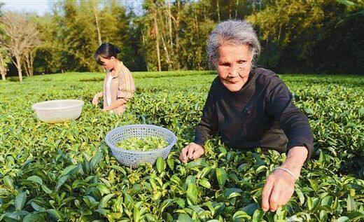 一辈子不得癌的8个秘方,长寿老人的秘密是什么