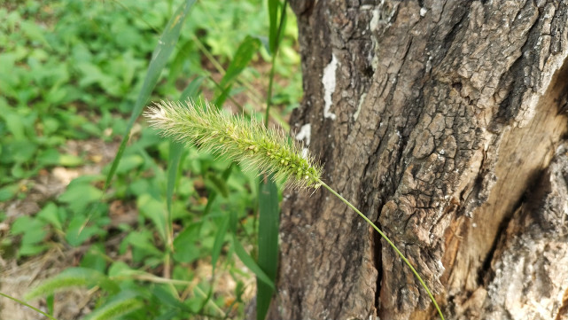 18:9比例的直屏手机,18.9全面屏手机推荐
