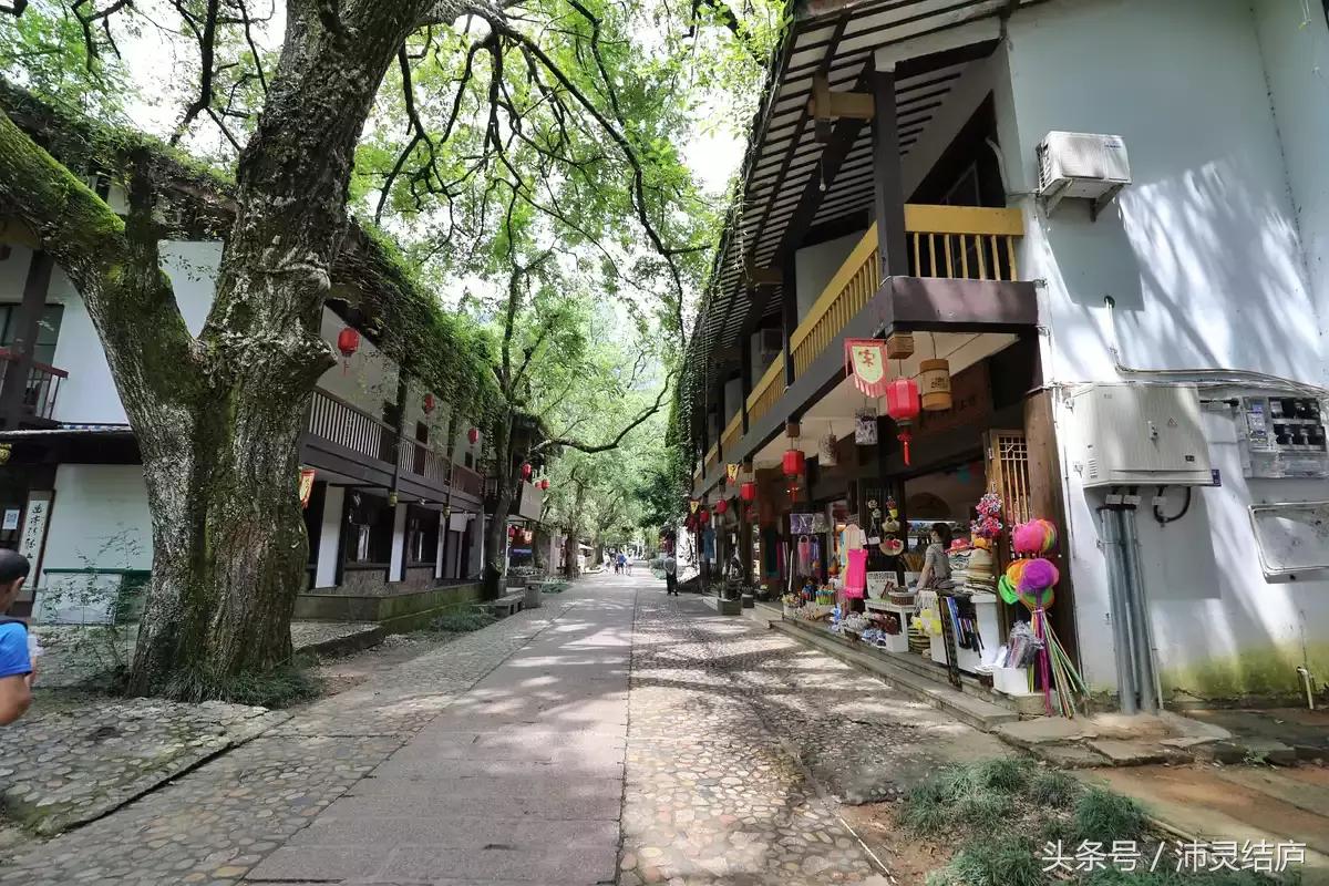 如果你只有一天的时间去乐山,如果你只有两天时间游南京