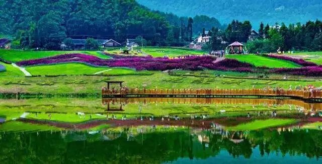 凤凰谷怎么玩,凤凰谷自驾攻略