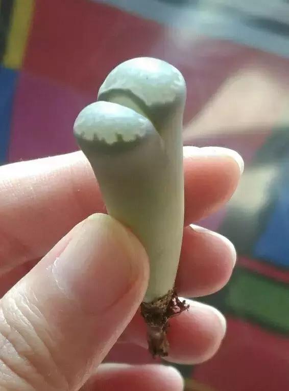 南非秘宝,遗落在世间的宝藏