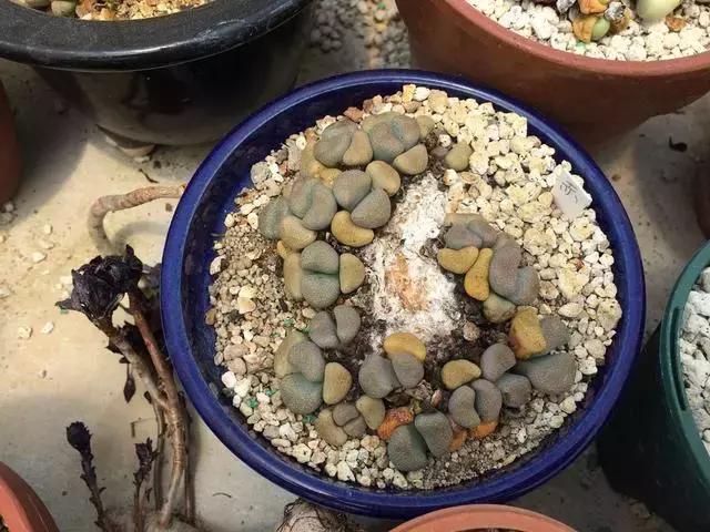 南非秘宝,遗落在世间的宝藏