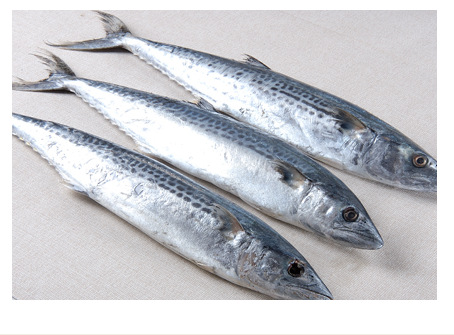 好养好吃的海鱼有哪些,哪些海鱼既好吃但又不能养殖