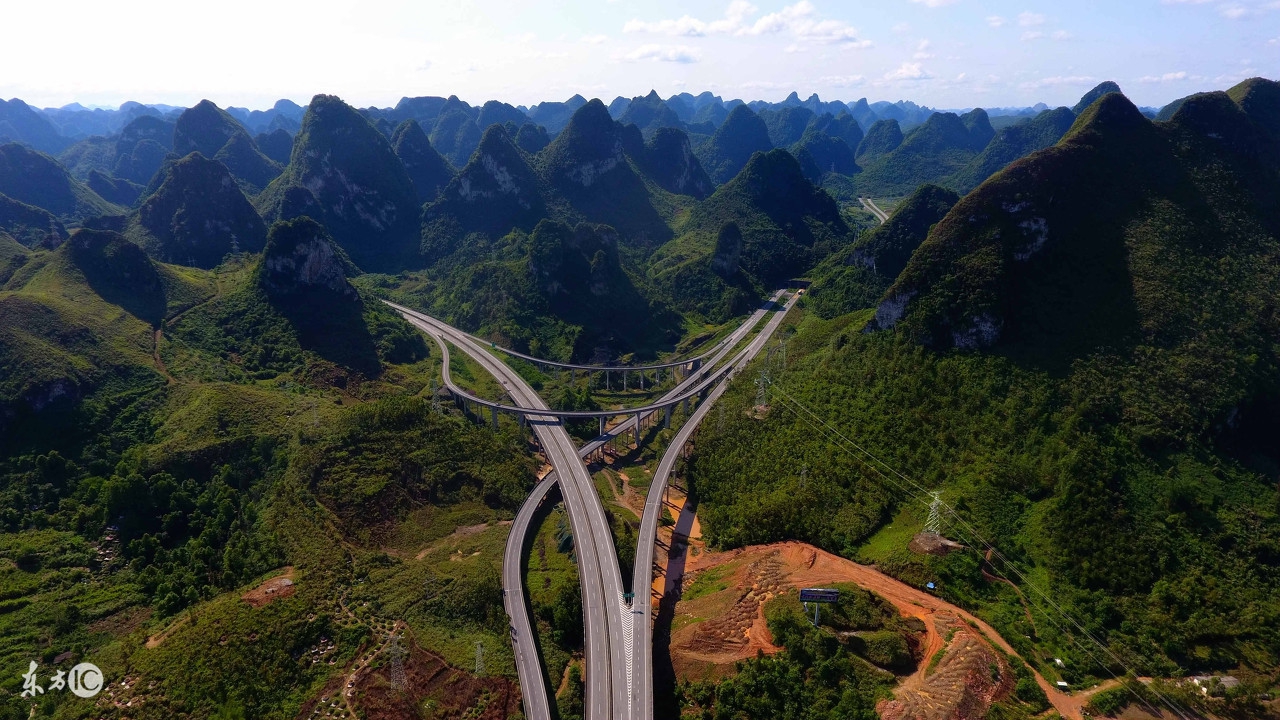 故事:开夜车故意压死挡路蛇,岂料一家人死于非命,做人需行善