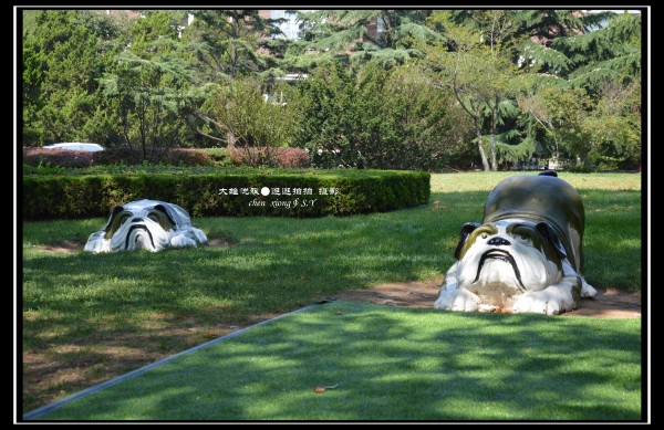 娴锋花鍩庡競澶ц繛娴极涔嬮兘,澶ц繛娴极婊ㄦ捣缇庢櫙