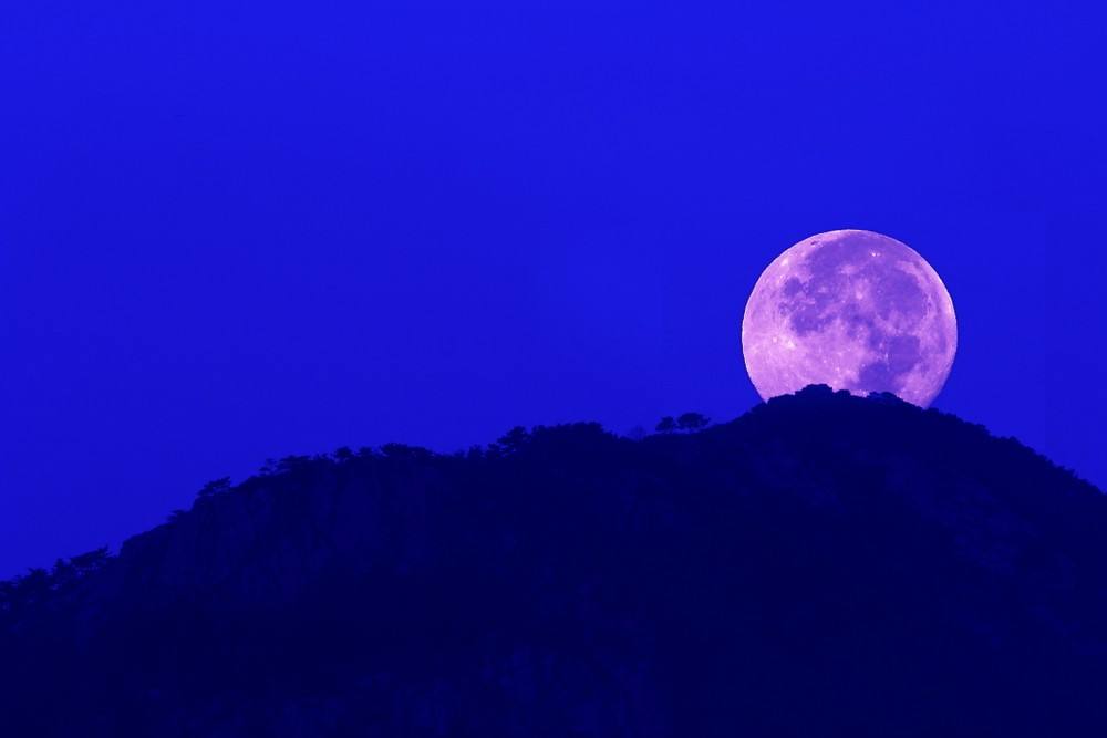 我给了你四季的风景,你还在意春花秋月吗?