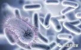 再也不怕夏天的衣服有味道