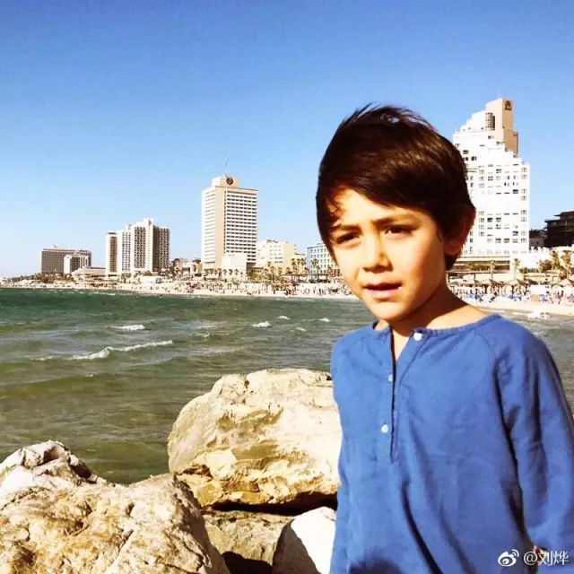 爸爸去哪儿5长大后的萌娃,天降萌宝爸爸去哪儿1-56集免费