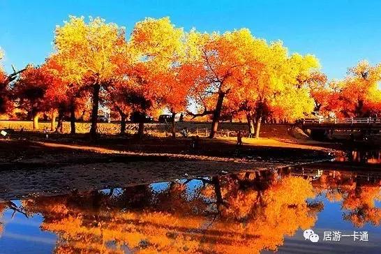 居游大事|金秋套票正式发售啦!这次两个套票任你选!