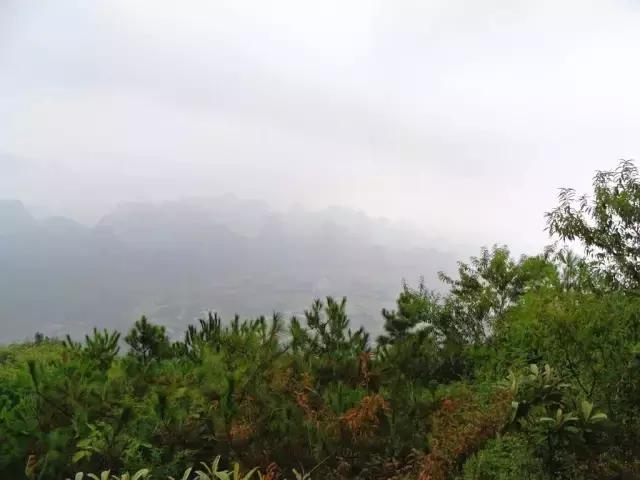 居游大事|金秋套票正式发售啦!这次两个套票任你选!