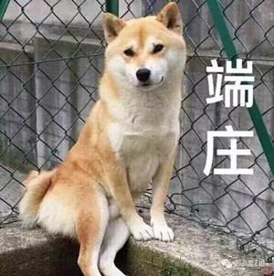 最值得推荐的几款大牌眼影,推荐几款好用适合日常的眼影