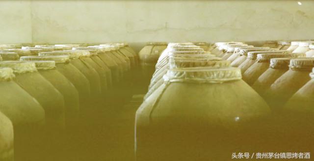 憨老头故事,憨老头酒馆全部视频