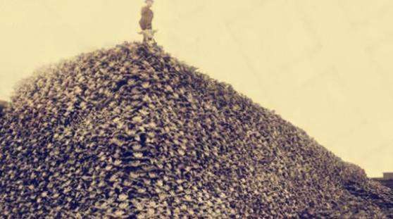 在古代战场上尸体是怎么处理的,古代战场尸体太多怎么处理