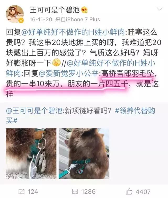 这些宠物都在背LV，你还敢抱怨自己像狗一样累？