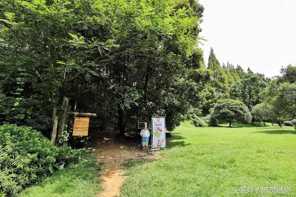 如果你只有一天的时间去乐山,如果你只有两天时间游南京