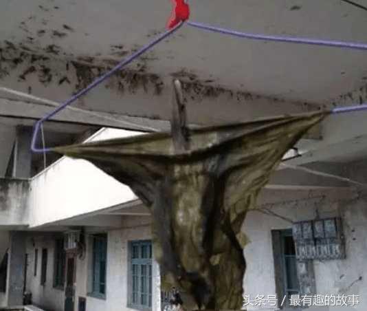 坐地铁回去的路上好像发现了什么!