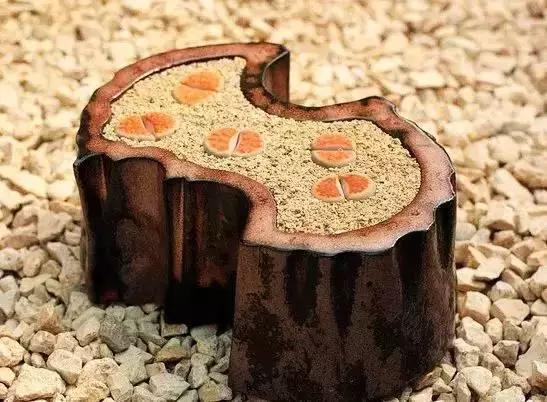 南非秘宝,遗落在世间的宝藏