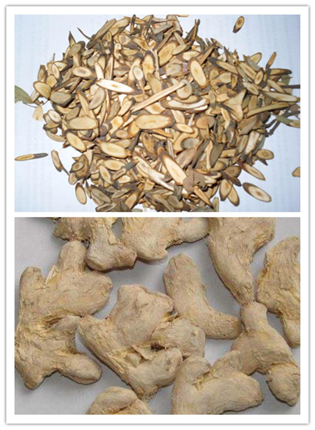 误用桂枝汤后可以救误的方剂,误用桂枝汤伤津液怎么补救