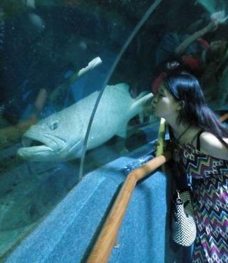 厦门鼓浪屿旅游拍照,鼓浪屿有哪些好拍照的景点