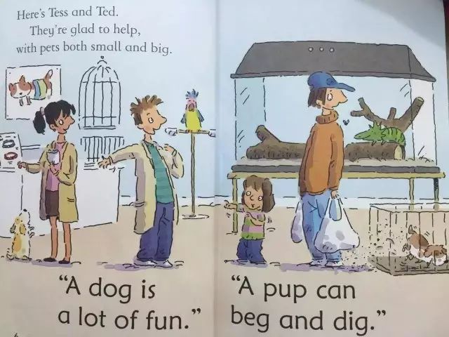 theperfectpet英语绘本,超有爱绘本