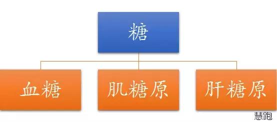 马拉松如何做到后程不掉速,马拉松途中跑不完怎么办