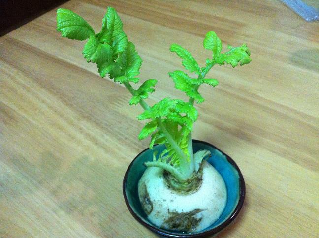 燃气灶清理油污有什么方法,清洗燃气灶顽固油污妙招