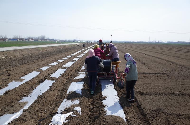 全降解地膜山东清田,山东清田塑工有限公司