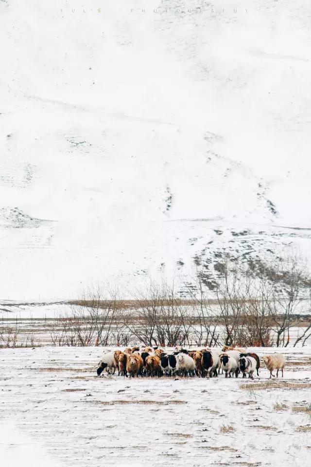 回顾:旧梦之域,新辟之疆‖这是一个让我魂萦梦绕的地方