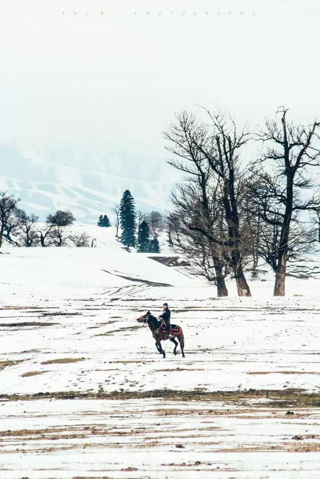 回顾:旧梦之域,新辟之疆‖这是一个让我魂萦梦绕的地方