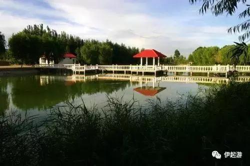 沙漠徒步穿越恩格贝,恩格贝沙漠千人徒步