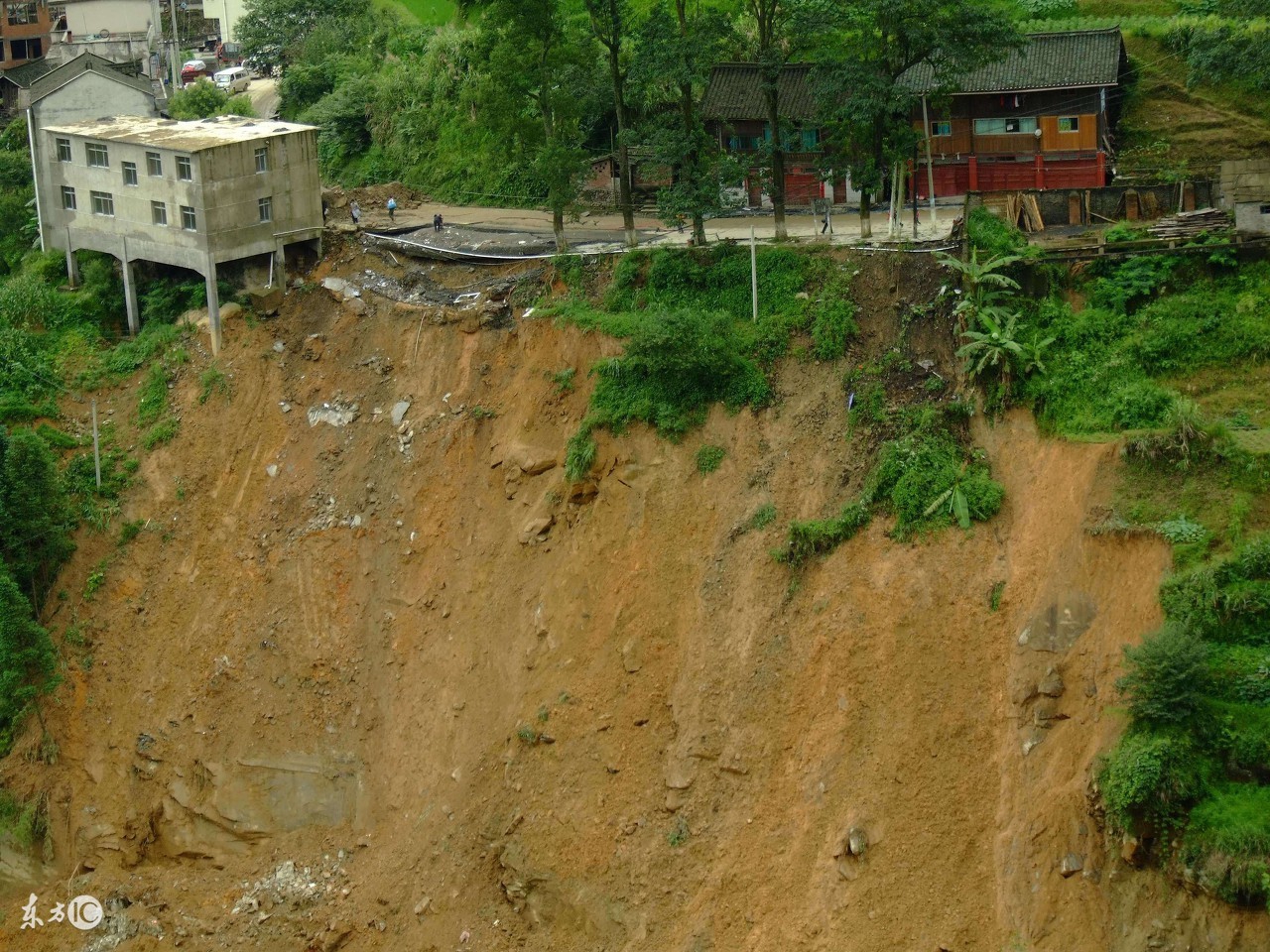 故事:开夜车故意压死挡路蛇,岂料一家人死于非命,做人需行善